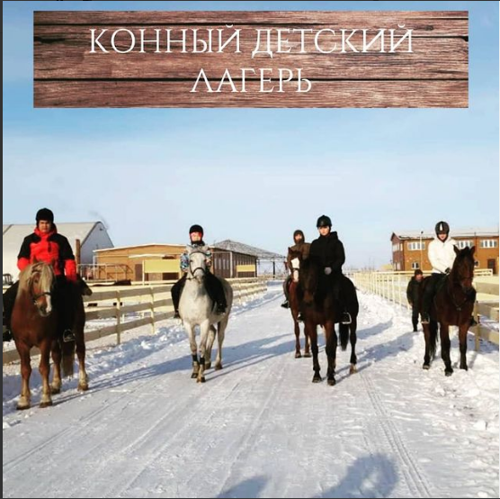 We are glad to inform you about the opening of an equestrian children's camp on the basis of the 